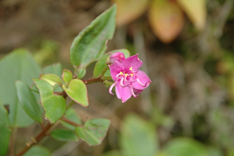 DSC_3807_201105ѼŲ.jpg