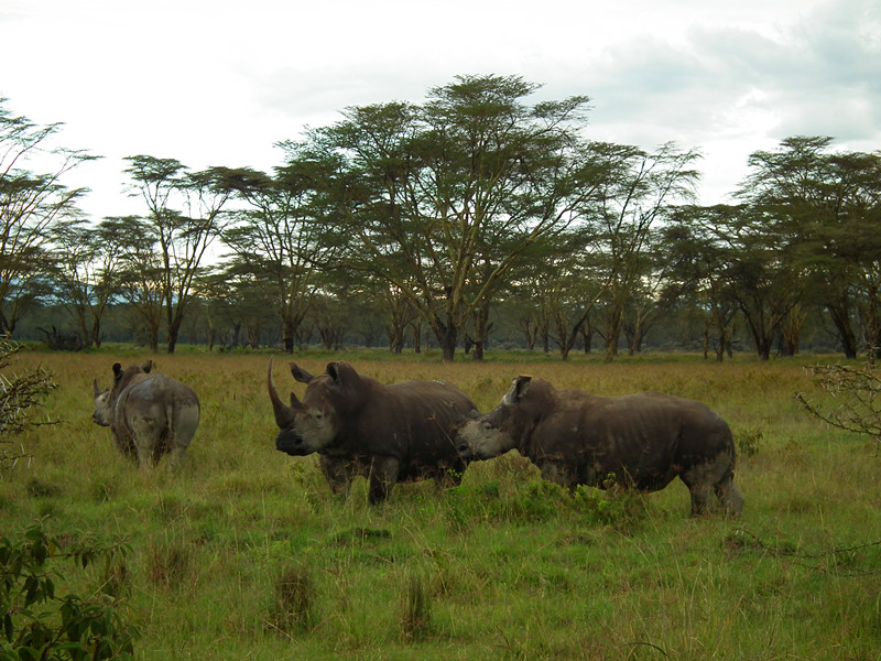 DSCF5517.JPG