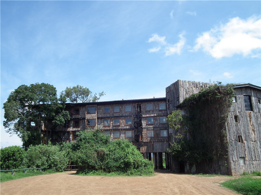 DSCF5555.JPG