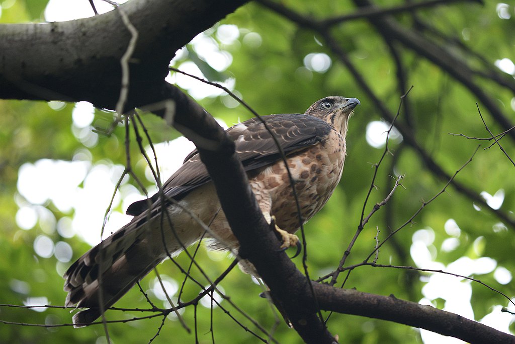 DSC_9384_副本.jpg