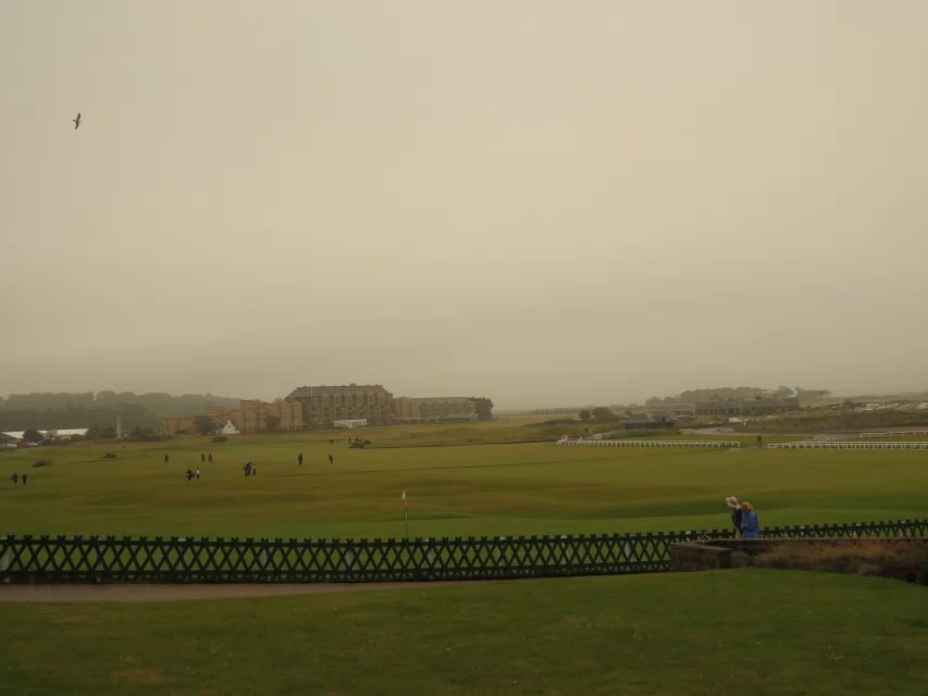 08.jpg
