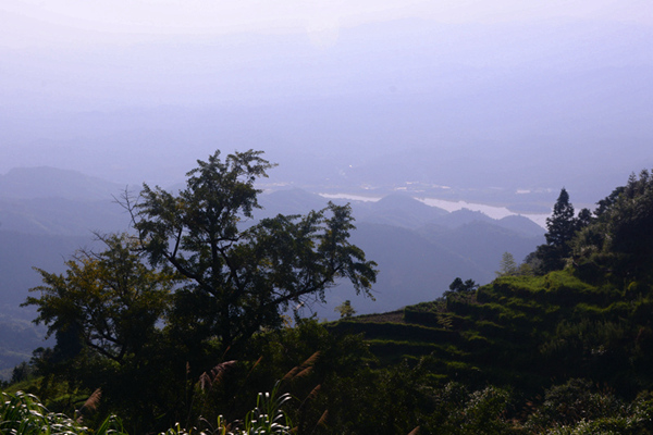 0DSC_8212_.jpg