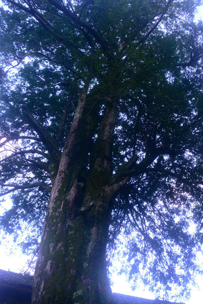 0DSC_7870_.jpg