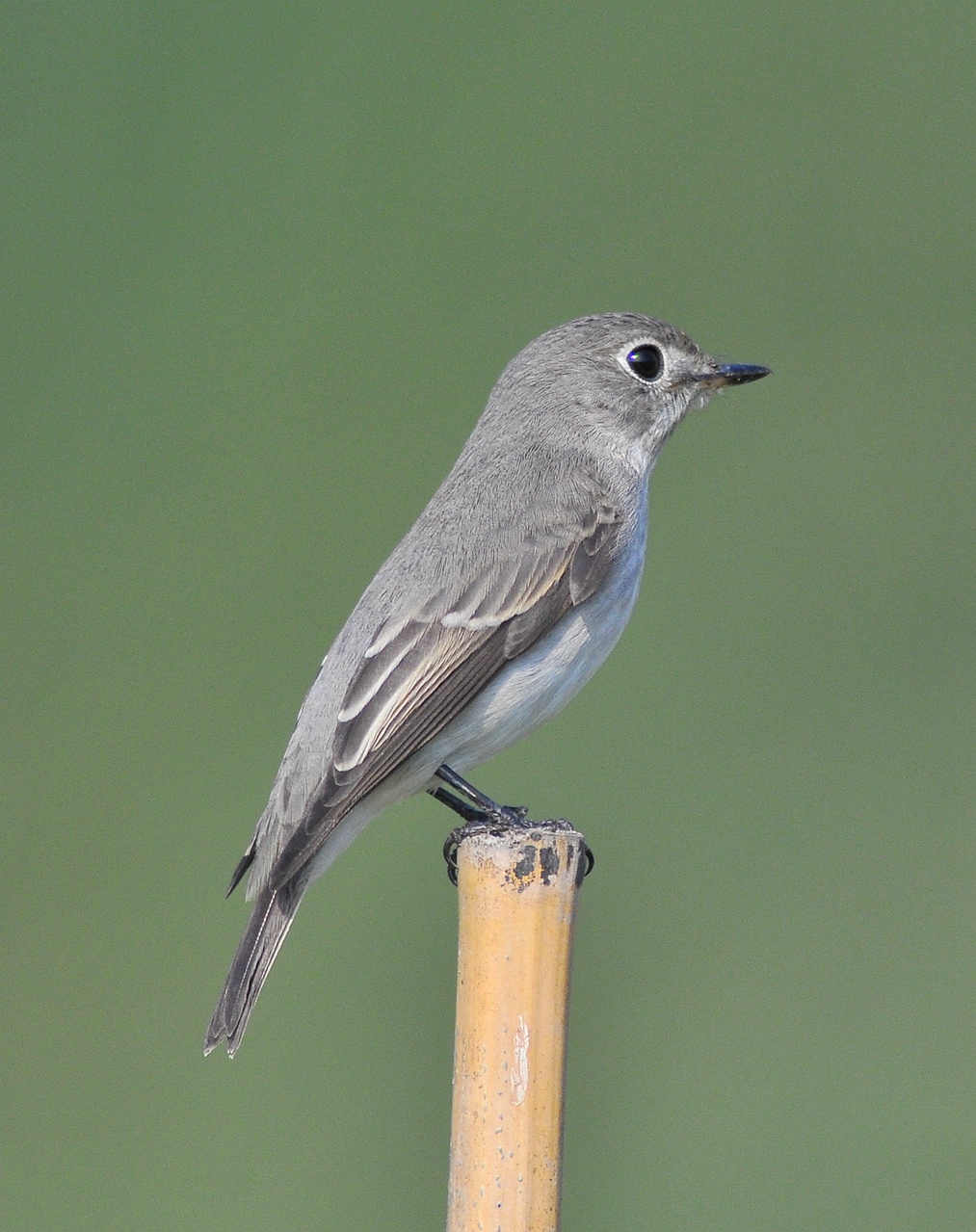 DSC_6312_副本.jpg