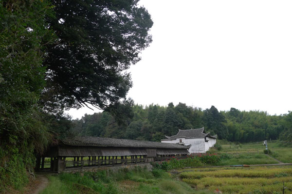 村尾.jpg