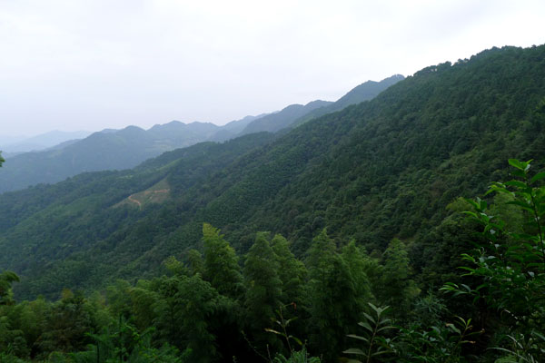 林海.jpg