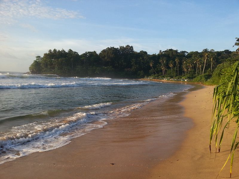 20140928_085341.jpg