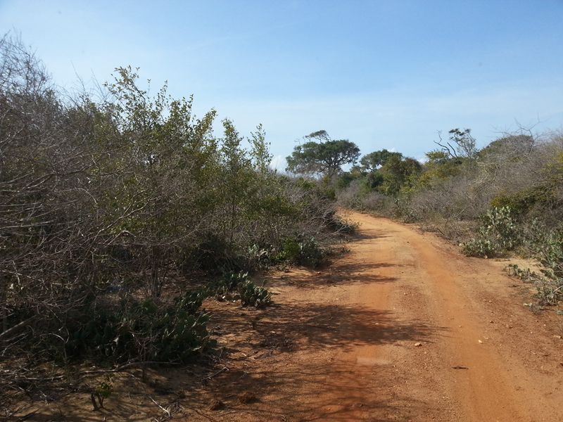 20140929_111944.jpg