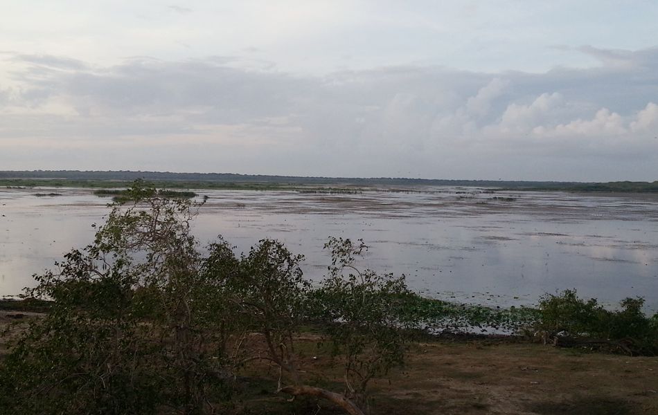 20140929_083802.jpg