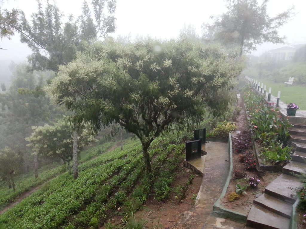20140930_160446.jpg