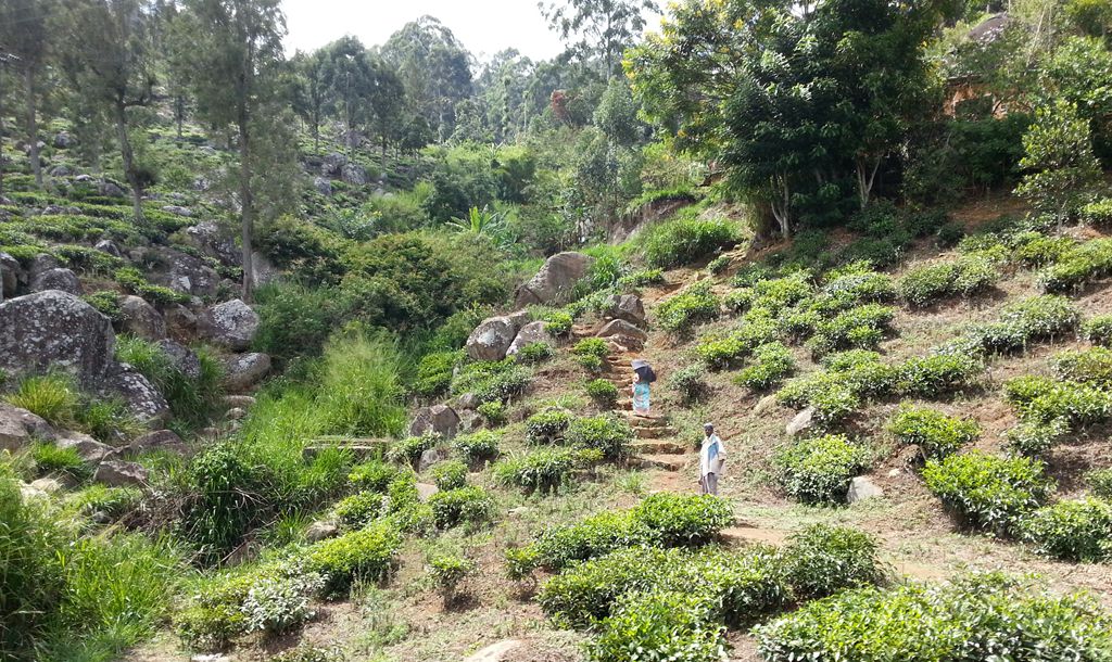 20140930_124054.jpg