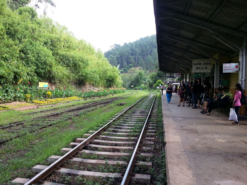 20140930_114350.jpg