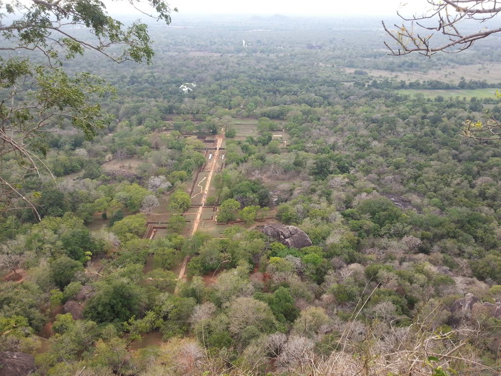 20141002_154513.jpg