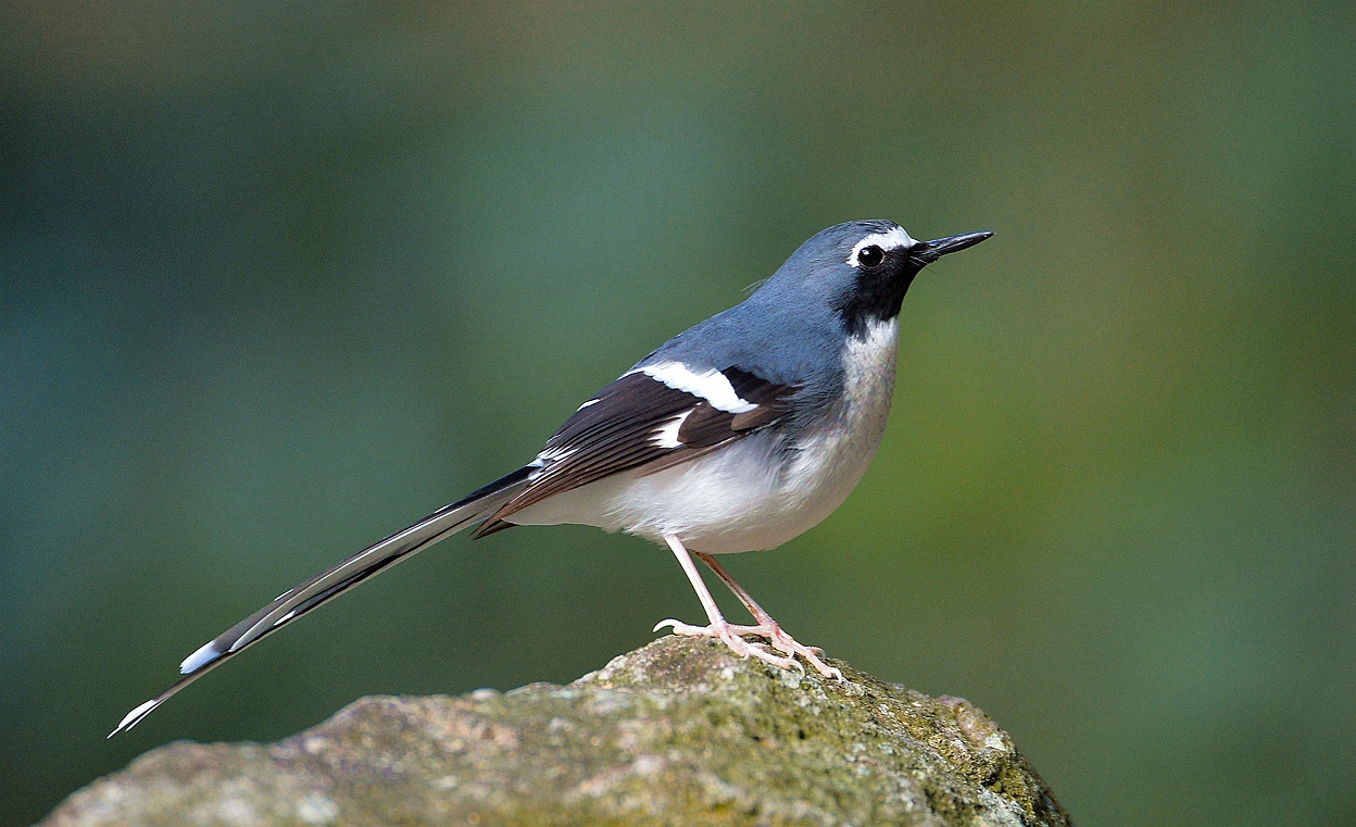 DSC_2780_副本_副本.jpg