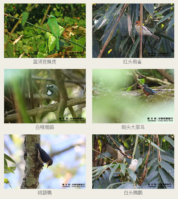 QQ截图20150301125511.jpg