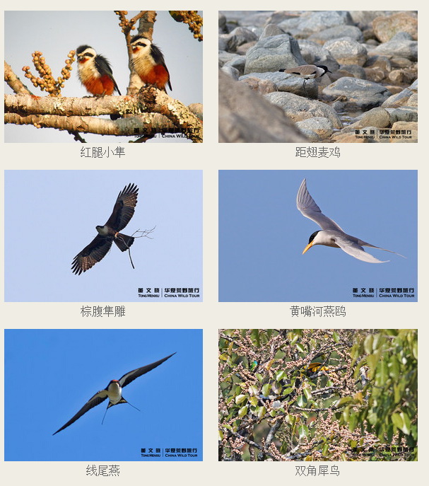 QQ截图20150301125931.jpg