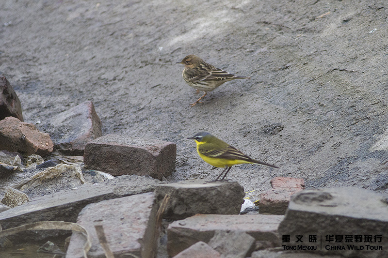 �����&���n�_