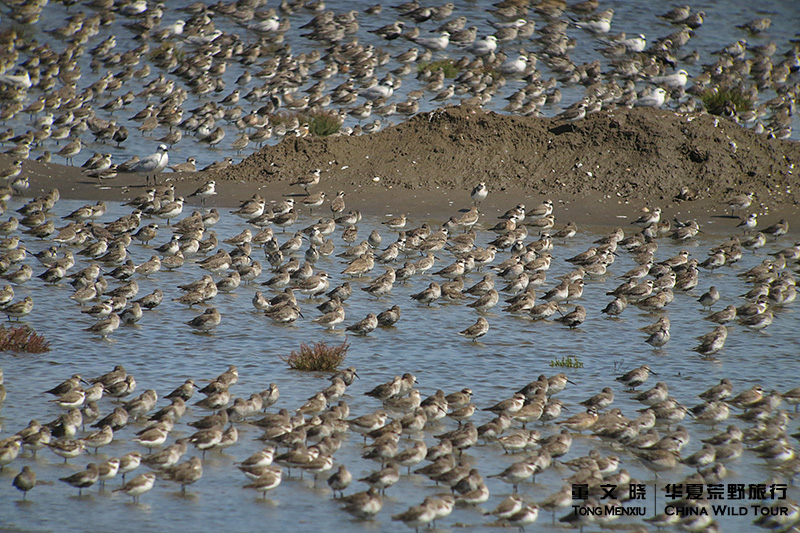 �߳�ͣ�ܵص��a��