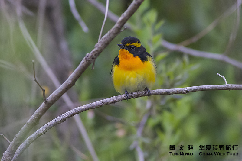 ��ü���l����