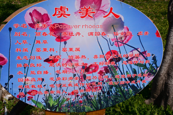 DSC_0629_花名牌.jpg