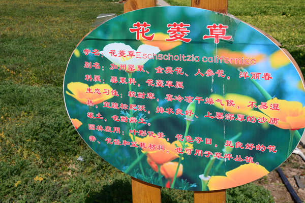 DSC_0626_花名牌.jpg