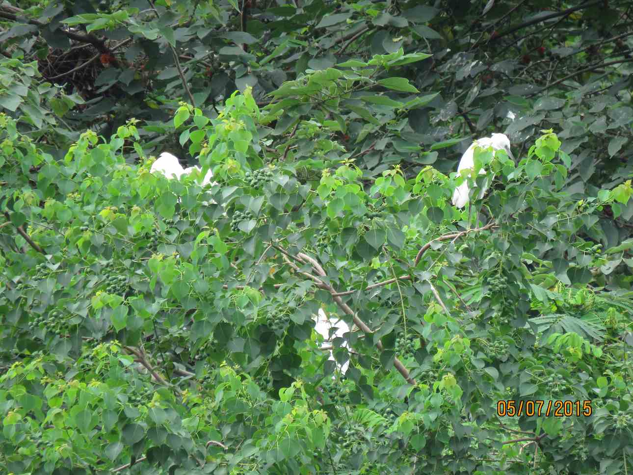 IMG_1703.JPG