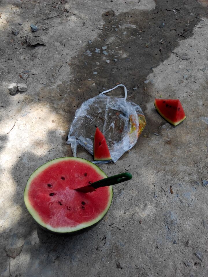 ݲ