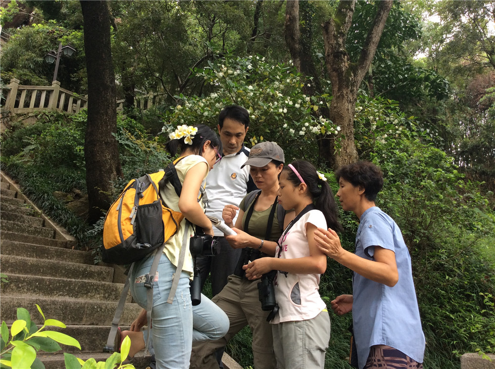 鸟书是重要的理论参考，严谨地比对