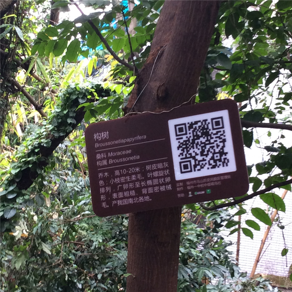 IMG_5595_旋转.JPG