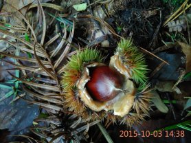 psb (9).jpg
