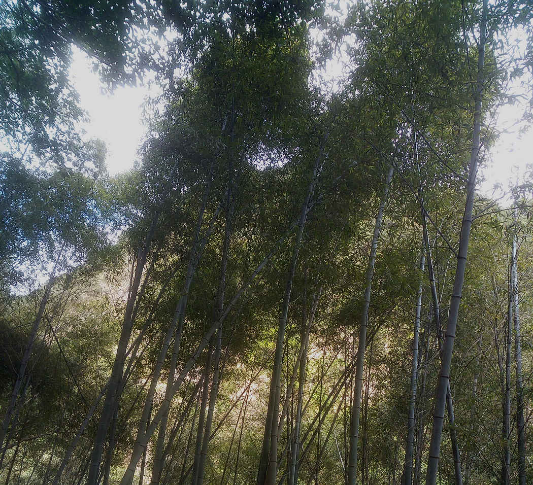 2015.10.18 03a.jpg