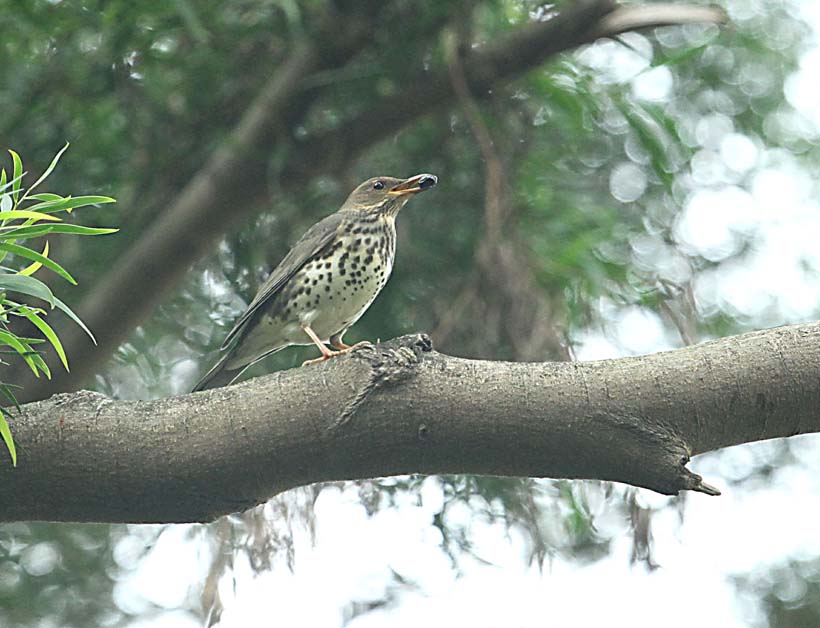 IMG_5156_看图王.jpg