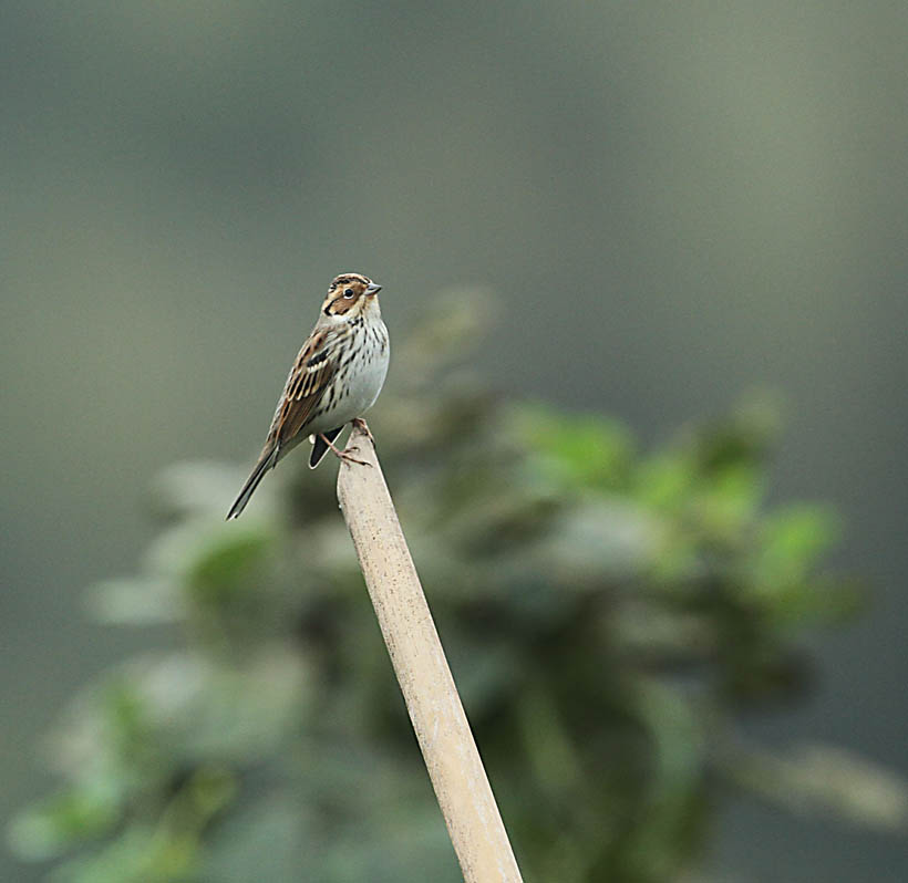 IMG_5025_看图王.jpg