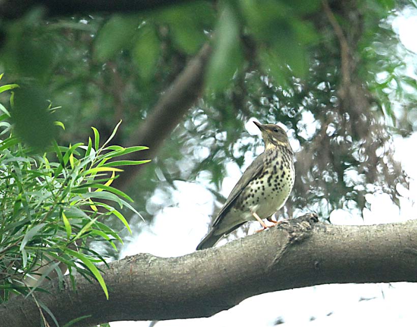 IMG_5154_看图王.jpg