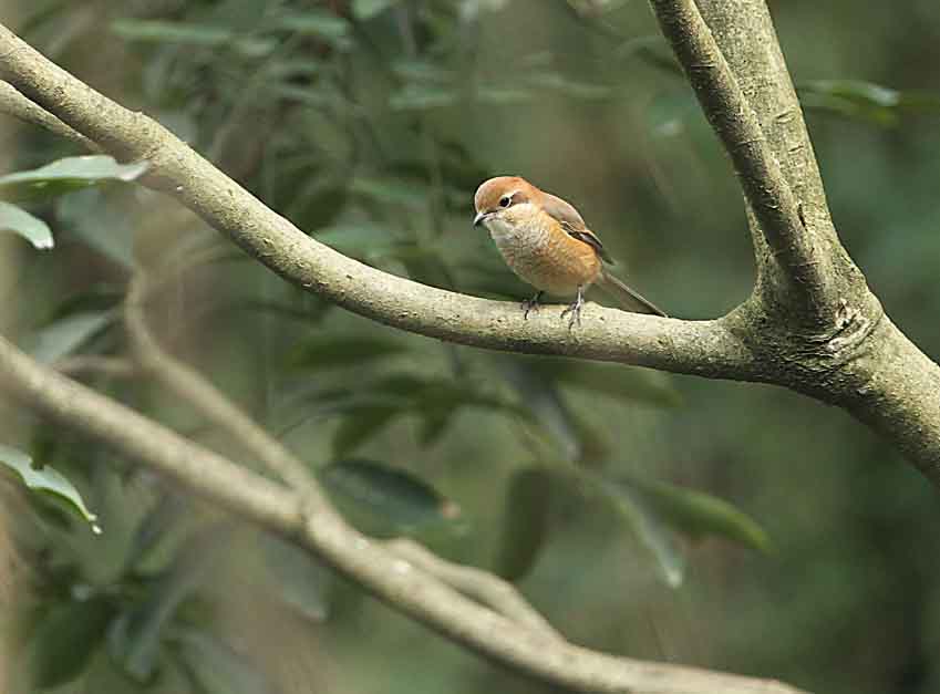 IMG_7576_看图王.jpg