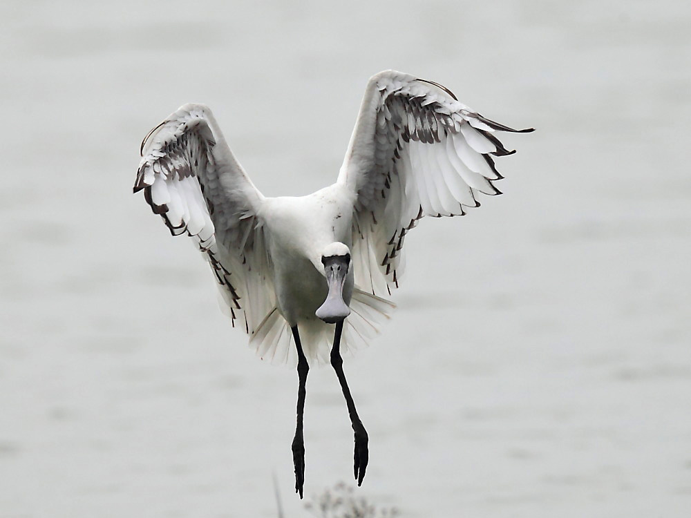 DPP_4455-1.jpg