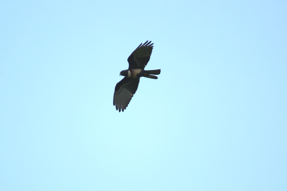 20160427ڹھ.JPG
