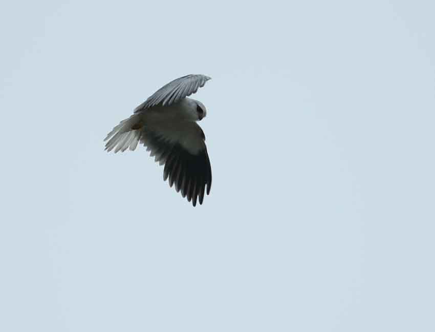 IMG_3104_看图王.jpg
