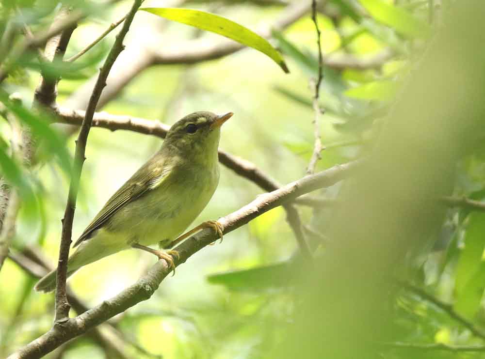 3S7A9848_看图王.jpg