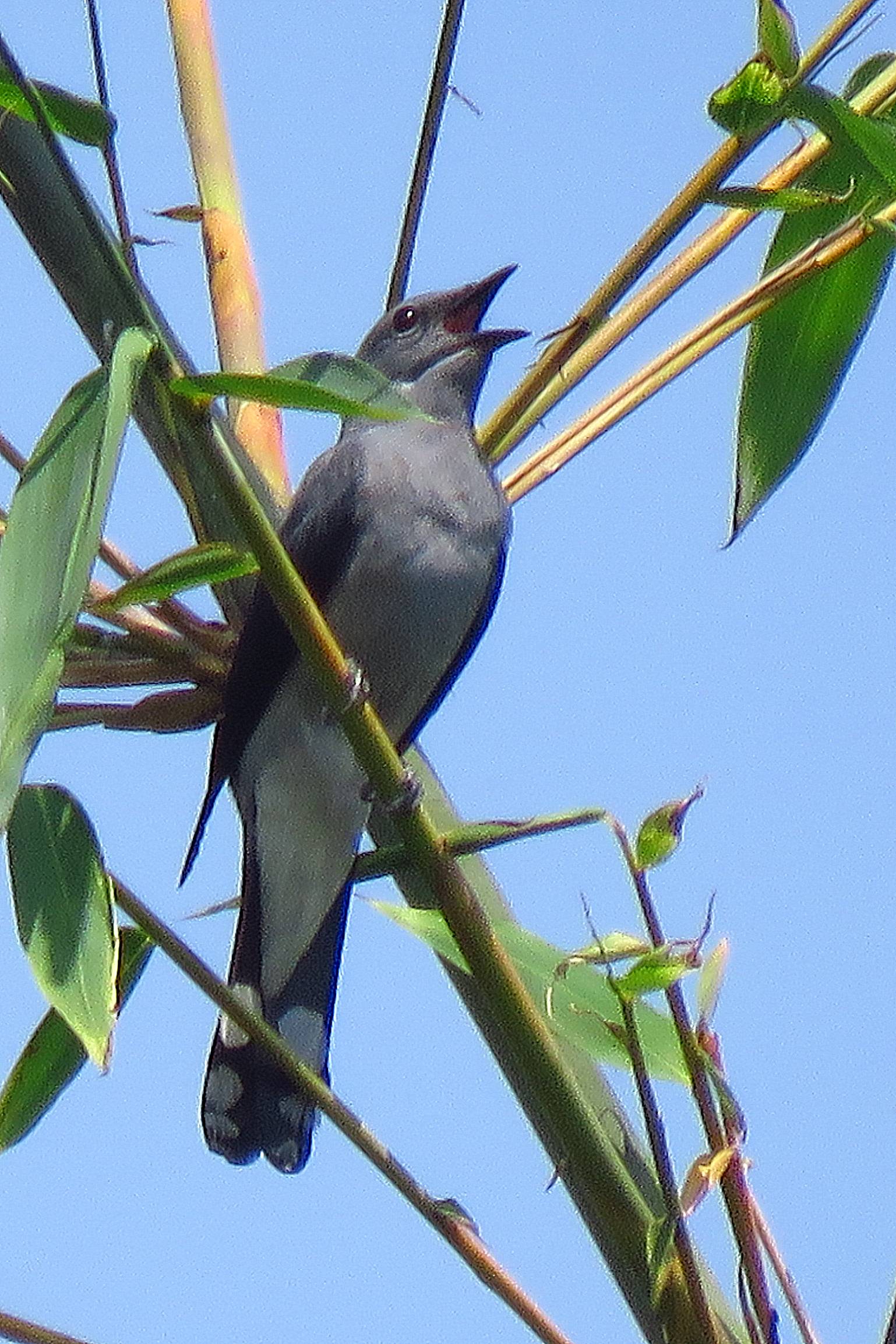 IMG_0797_副本.jpg