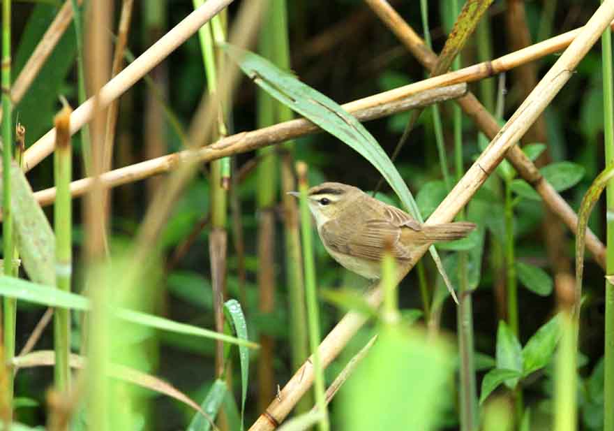 IMG_2869_看图王.jpg