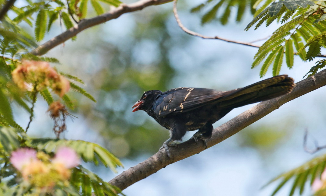 _DSC9638n1.JPG