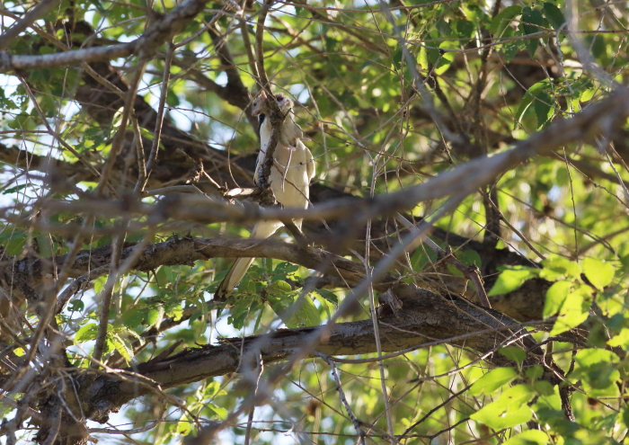 bolao04.JPG