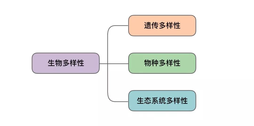 103447nbzfk2fb8dkxpzkw.jpg
