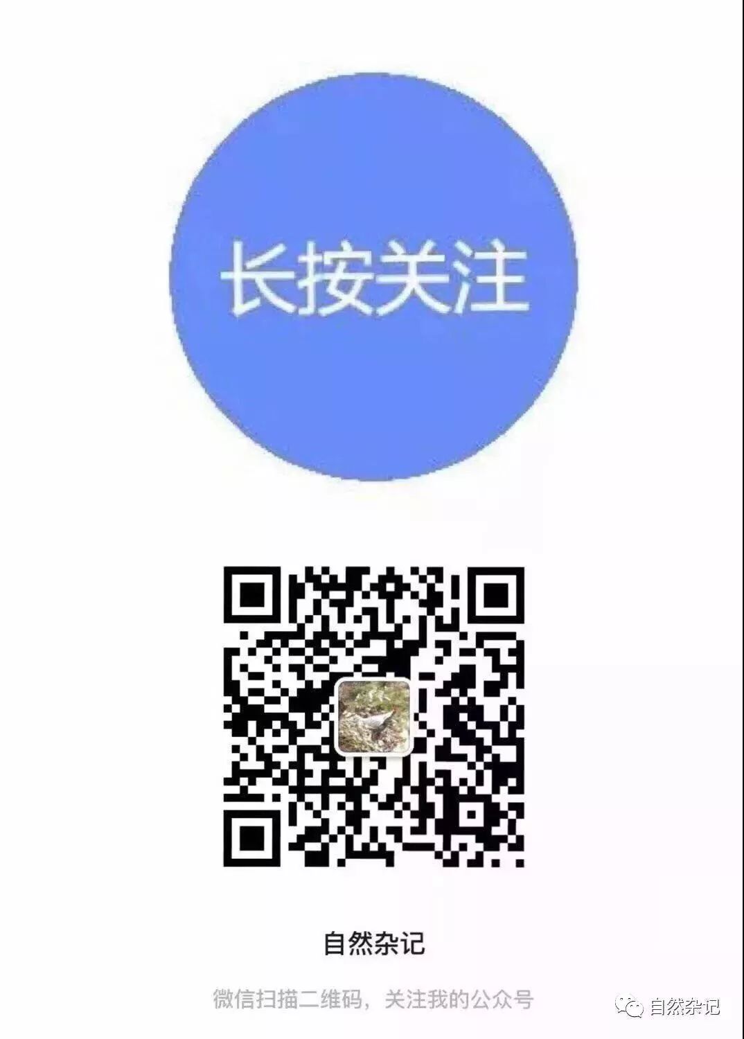 133714eq9zmsmsl95d5dmd.jpg