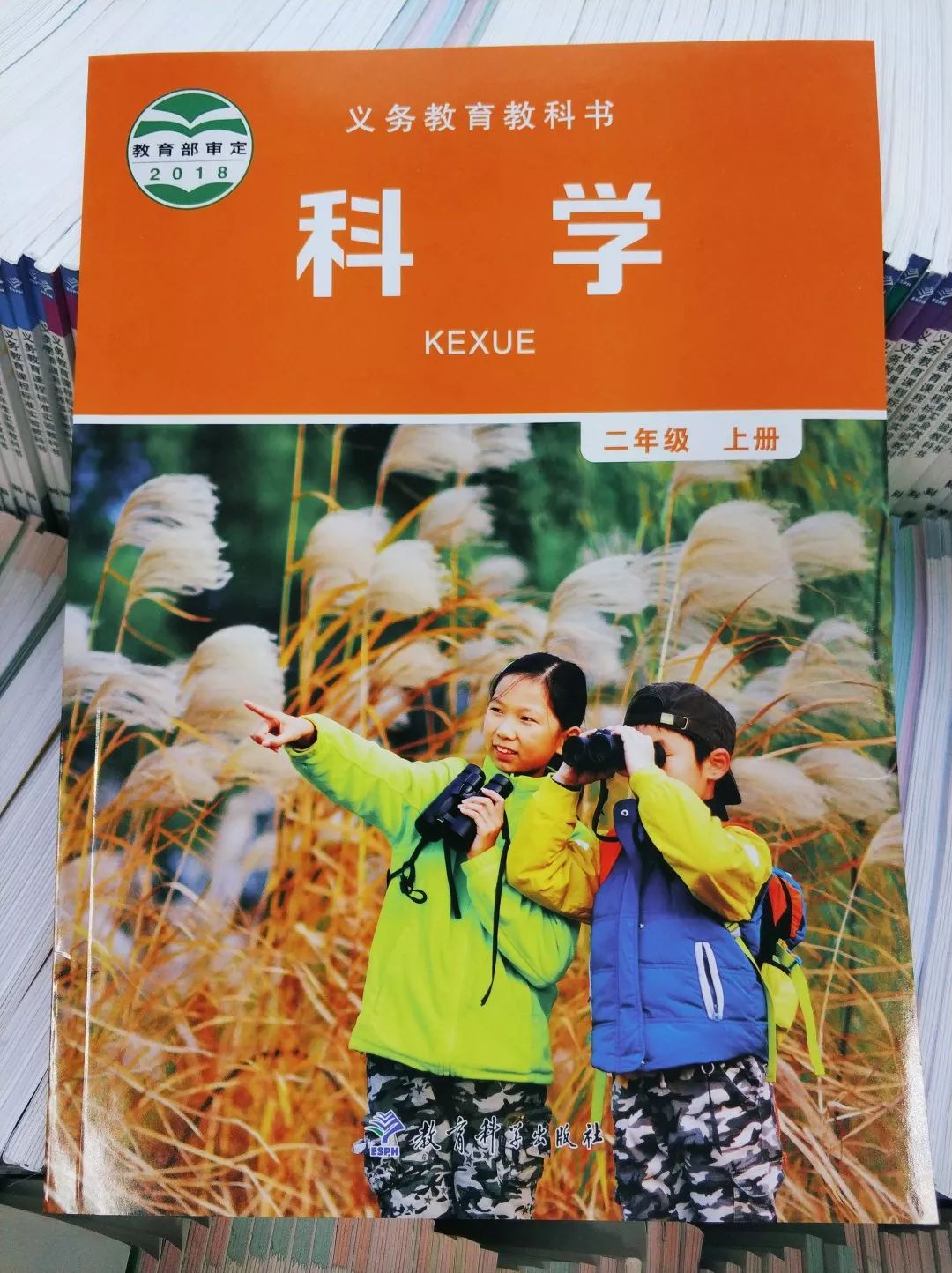 205259ud742ddd22686ief.jpg