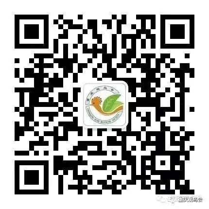 180643g7cwwwfzw77l0fjz.jpg