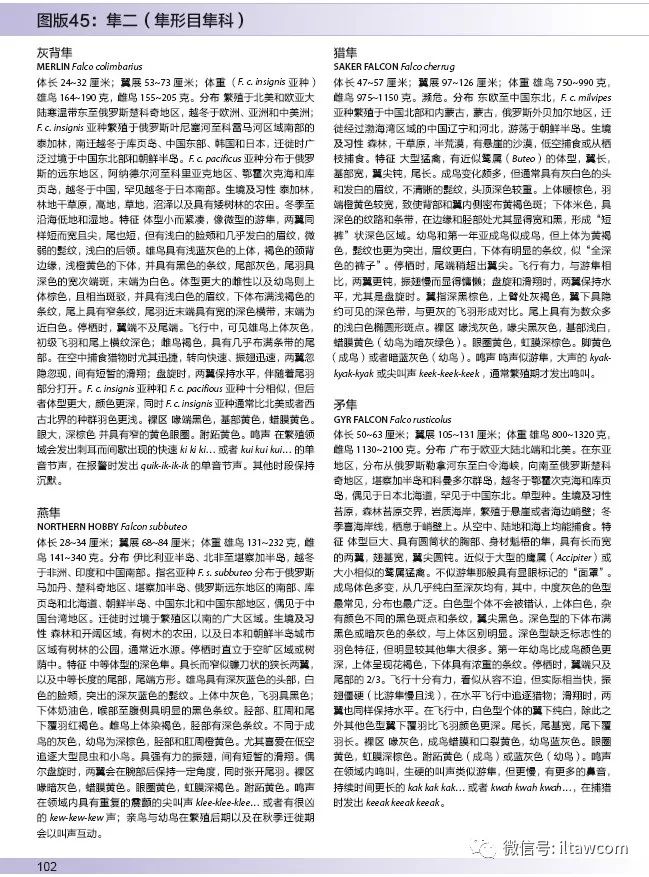 111931ifxffjrpnx20j0j0.jpg