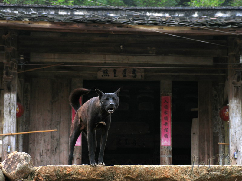 ϪԴ��һ·�����뼸ֻС��