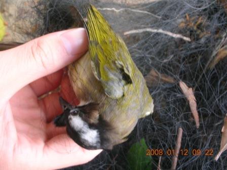 DSCN0935.JPG